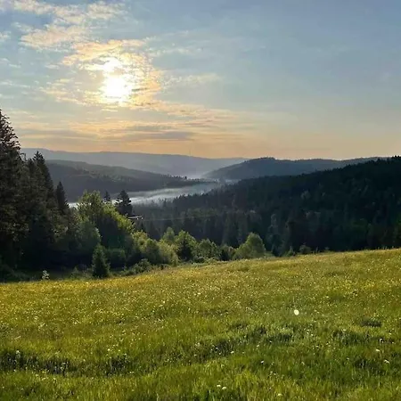Helle Gemuetliche In Schwarzwaldhof *
