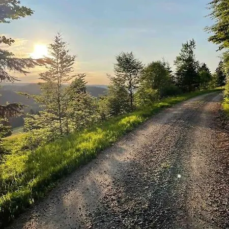 Helle Gemuetliche In Schwarzwaldhof * Ibach