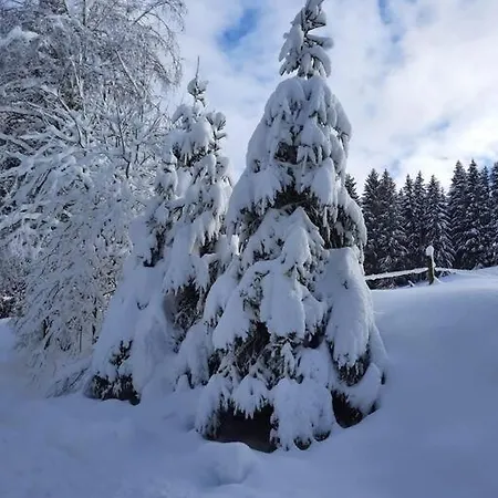 Helle Gemuetliche In Schwarzwaldhof Апартаменты