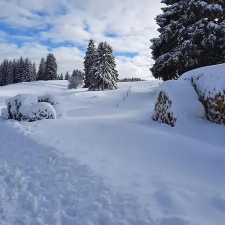 Helle Gemuetliche In Schwarzwaldhof Апартаменты