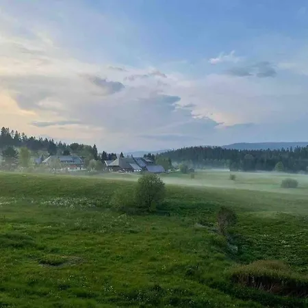 Helle Gemuetliche In Schwarzwaldhof Lejlighed *