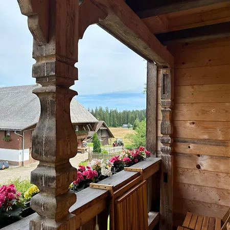 Helle Gemuetliche In Schwarzwaldhof