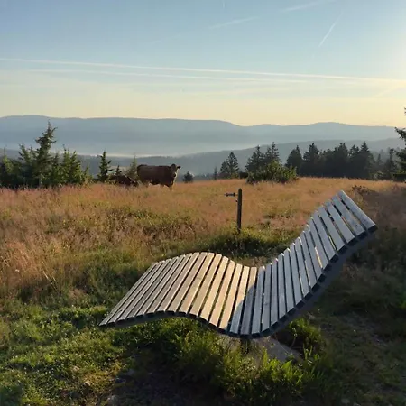 Helle Gemuetliche In Schwarzwaldhof *